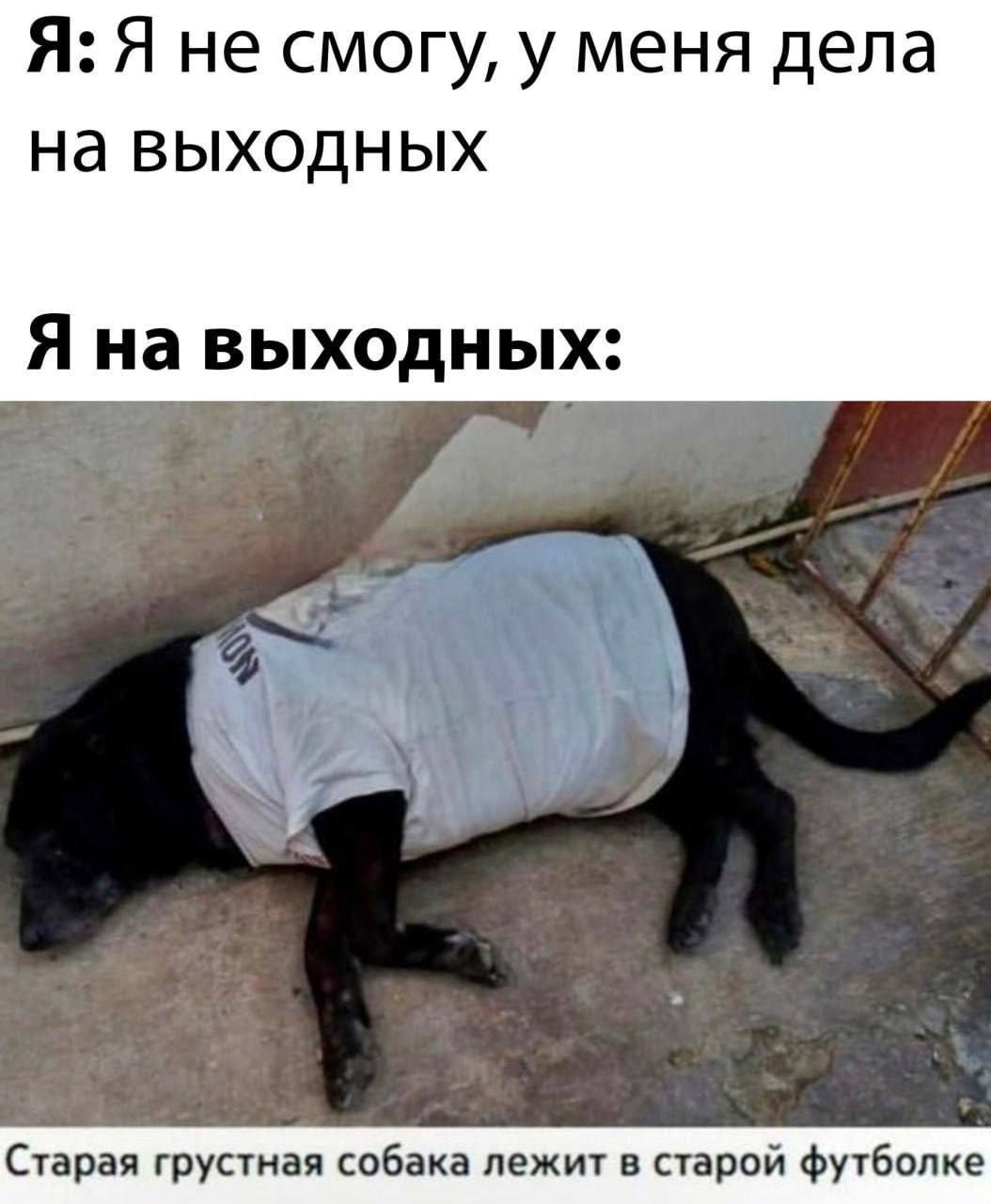 Я: Я не смогу, у меня дела на выходных Я на выходных: