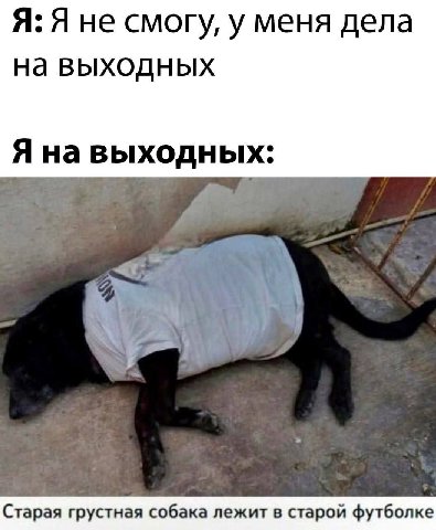 Я: Я не смогу, у меня дела на выходных Я на выходных: