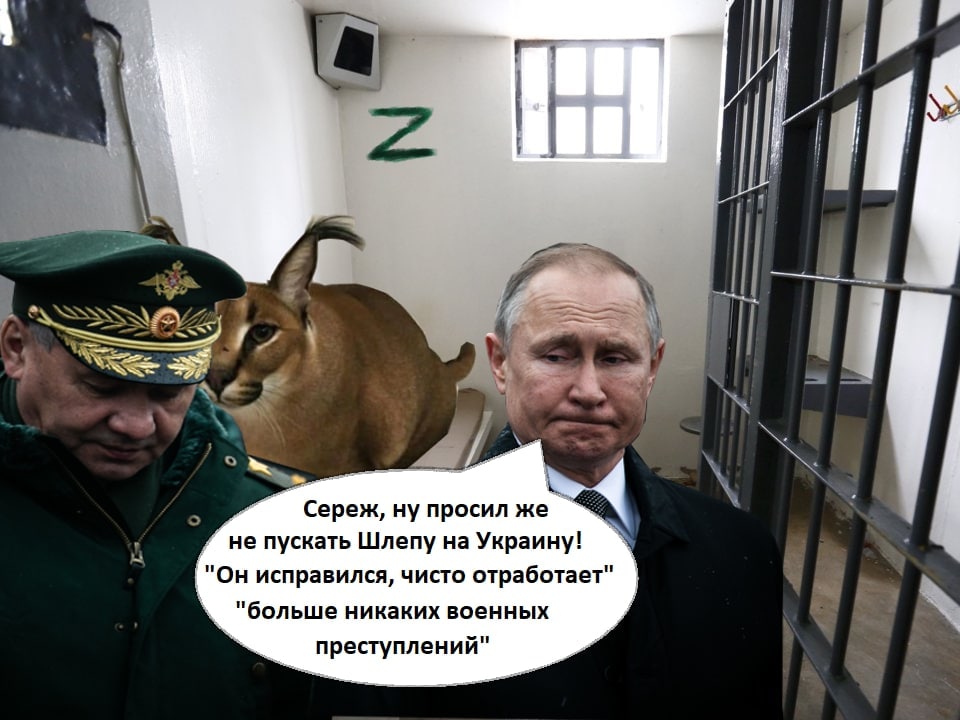 Сереж, ну просил же не пускать Шлепу на Украину! "Он исправился, чисто отработает" "больше никаких военных преступлений"