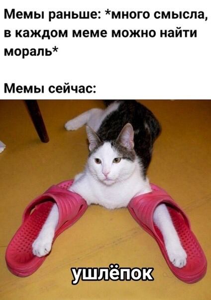 Мемы раньше: *много смысла, в каждом меме можно найти мораль* Мемы сейчас: