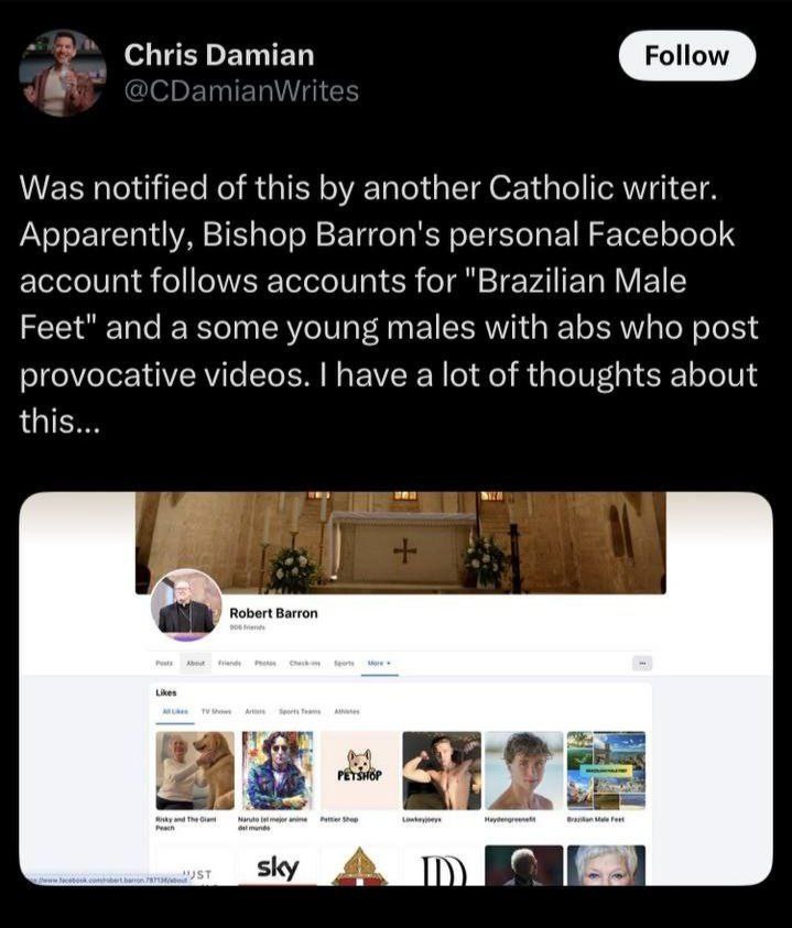 2 Chris Damian CDam| nWrites Follow Was notified of this another Catholic writer. Apparently, Bishop Barron's personal Facebook account follows accounts for "Brazilian Male Feet" and a some young male