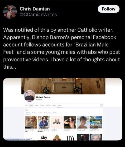 2 Chris Damian CDam| nWrites Follow Was notified of this another Catholic writer. Apparently, Bishop Barron's personal Facebook account follows accounts for "Brazilian Male Feet" and a some young male