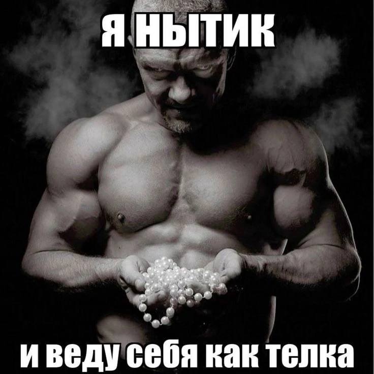 Я НЫТИЕ И ведус себя как телка