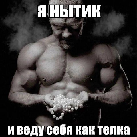 Я НЫТИЕ И ведус себя как телка