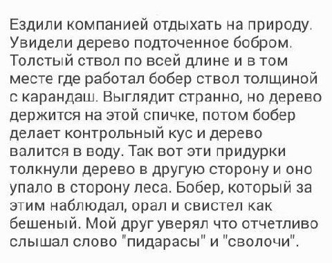 Ездили компанией отдыхать на природу. Увидели дерево подточенное бобром. Толстый ствол по всей длине и TOM месте где работал бобер ствол толщиной с карандаш. Выглядит странно, но дерево держится на эт
