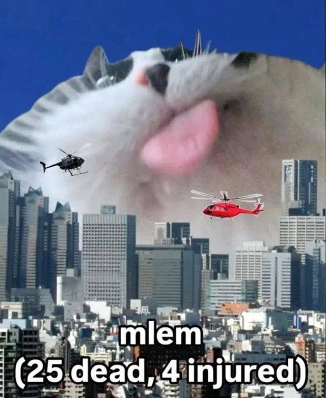 (25 dead, 4 injured)