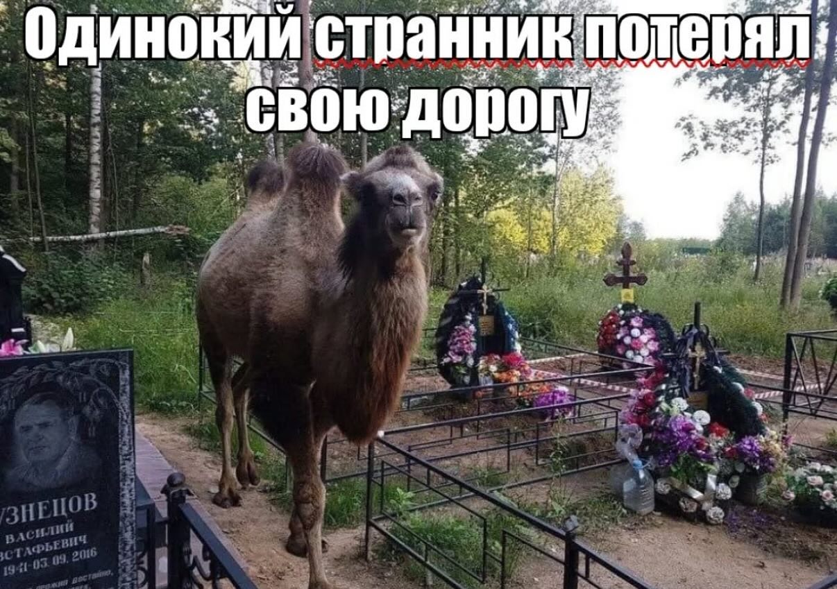 потер: странник 5 дорог 3