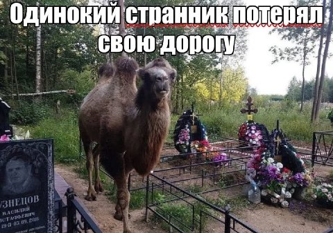 потер: странник 5 дорог 3