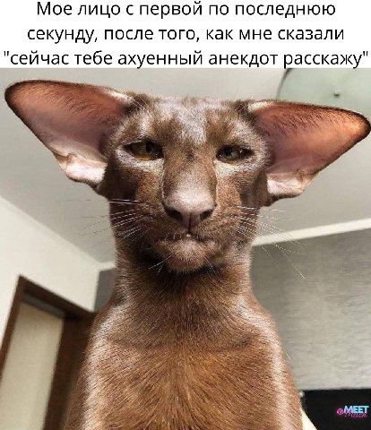 Мое лицо с первой по последнюю секунду, после того, как мне сказали "сейчас тебе ахуенный анекдот расскажу"