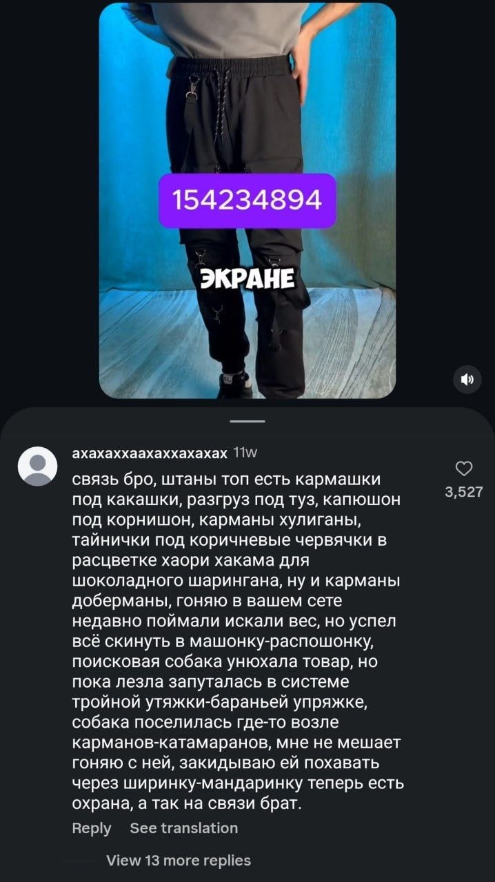 154234894 ЭКРАНЕ ахахаххаахаххахахах связь бро, штаны топ есть кармашки под какашки, разгруз под туз, капюшон 5,22! под корнишон, карманы хулиганы, тайнички под коричневые червячки в расцветке хаори х