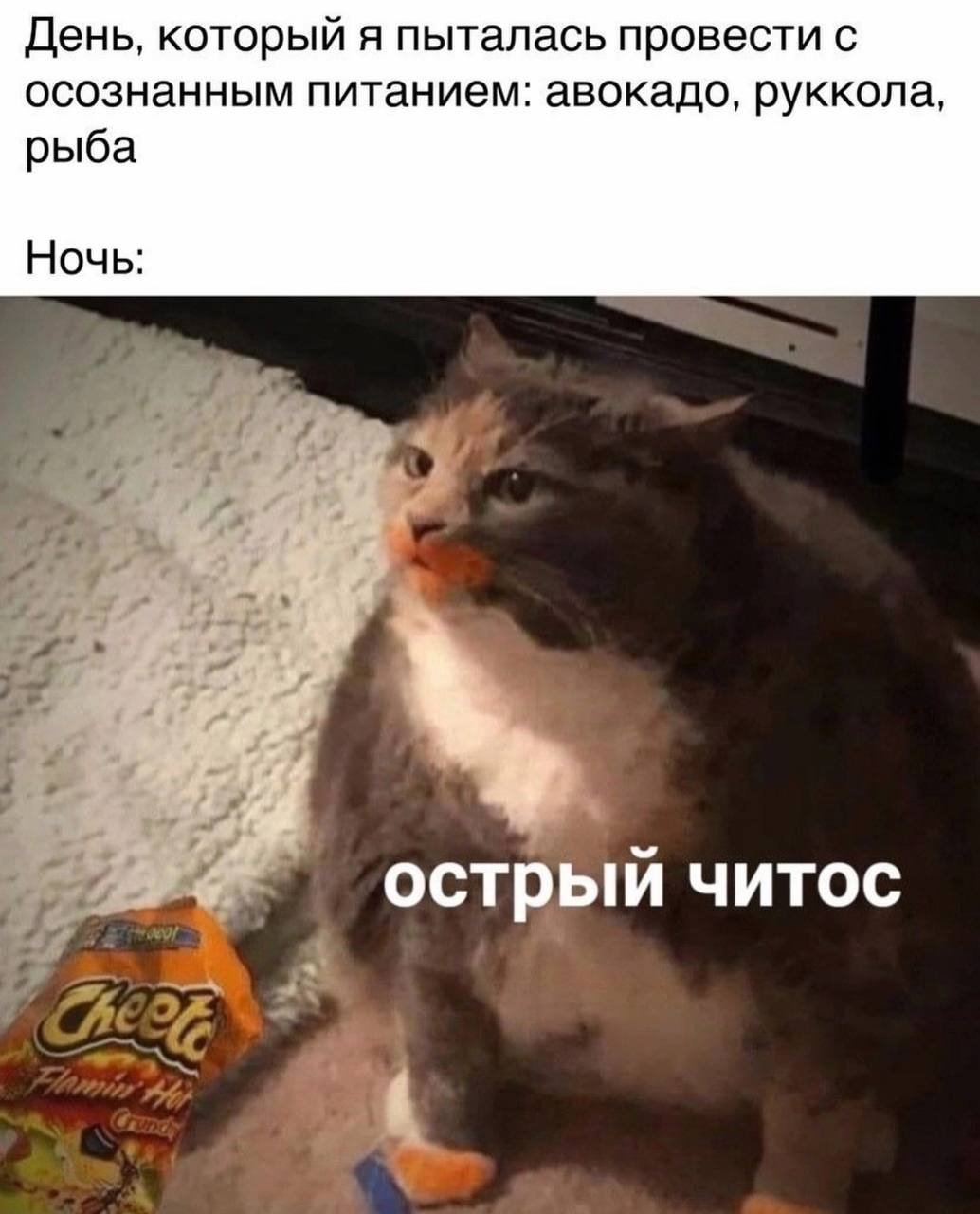 День, который я пыталась провести с осознанным питанием: авокадо, руккола, рыба Ночь: острый читос