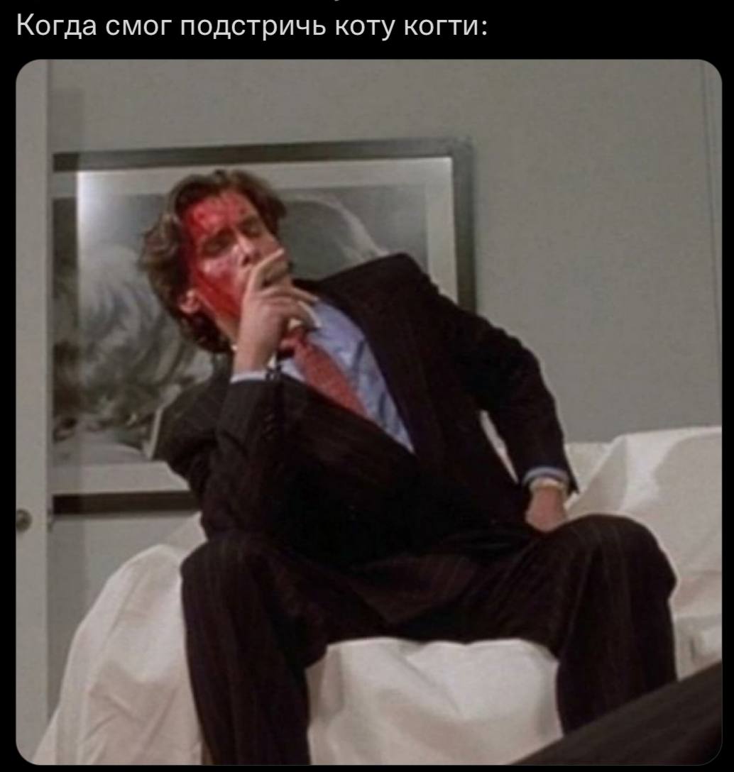 Когда смог подстричь коту когти: