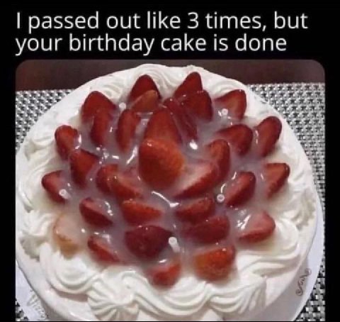 passed out like 3 times, but your birthday cake is done