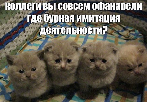 коллеги вы совсем офанарели где бурная имитация деятельности?