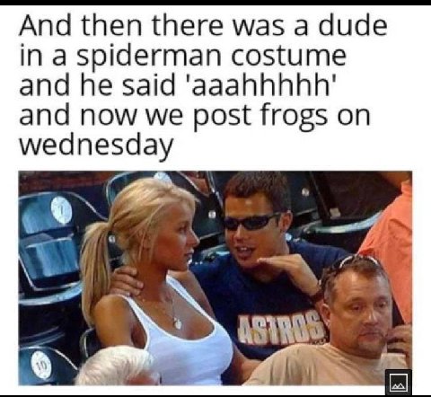 And then there was а dude in a spiderman costume and said 'aaahhhhh' and now we post frogs on wednesday А