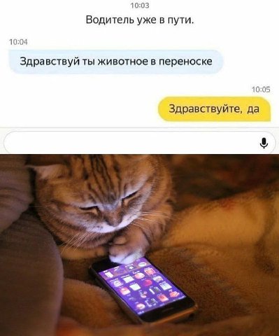 10:03 Водитель уже в пути. 10:04 Здравствуй ты животное в переноске 10:05 Здравствуйте, да