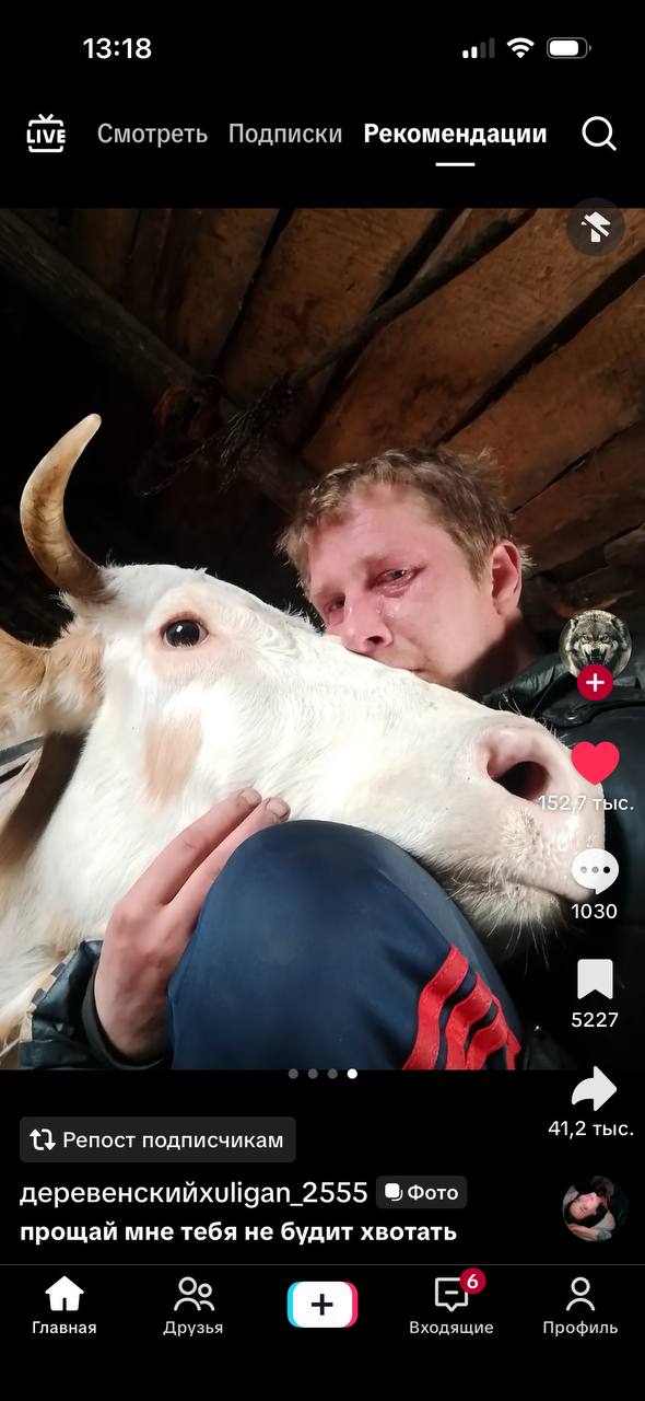 13:18 LIVE Смотроть Подписки Рекомендации 5227 1.3 Репост подписчикам 91,2 тыс. деревенскийхиЙдап_2555 Фото прощай мне тебя не будит хвотать о _6 О A Главная Друзья Входящие