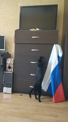 А