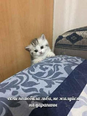 777. 4 если полюдила не жалу на иаралиня