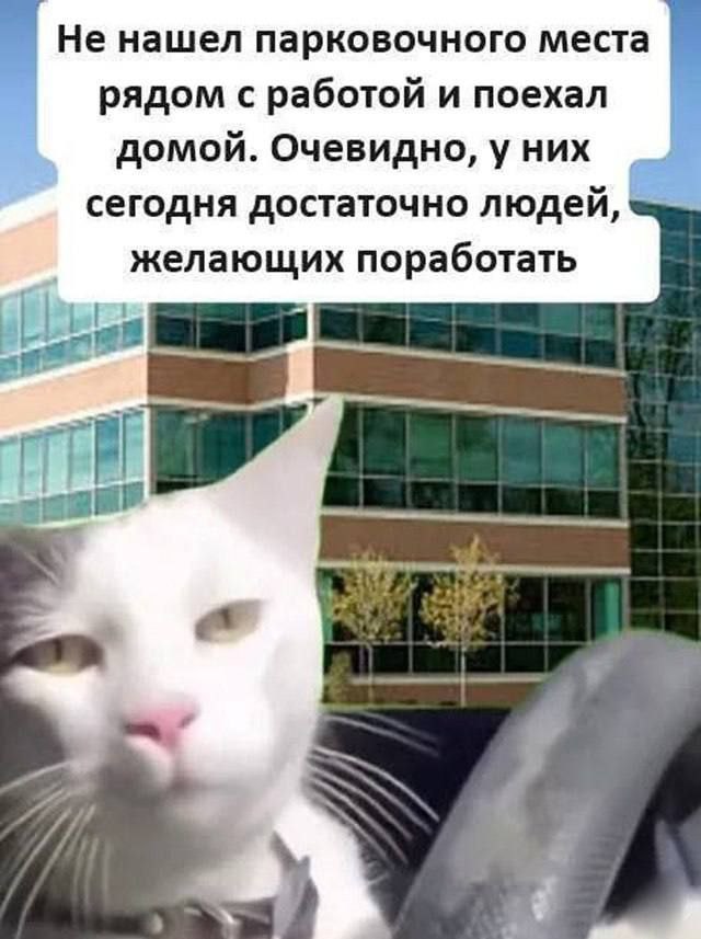 Не нашел парковочного места рядом с работой и поехал домой. Очевидно, у них сегодня достаточно людей, желающих поработать