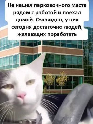 Не нашел парковочного места рядом с работой и поехал домой. Очевидно, у них сегодня достаточно людей, желающих поработать