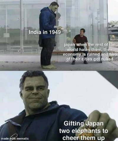 4 у Indiain1949 japan when the rest of the world hates them, their economy is ruined and two of their cities got nuked Gifting Japan two elephants to cheerthemup