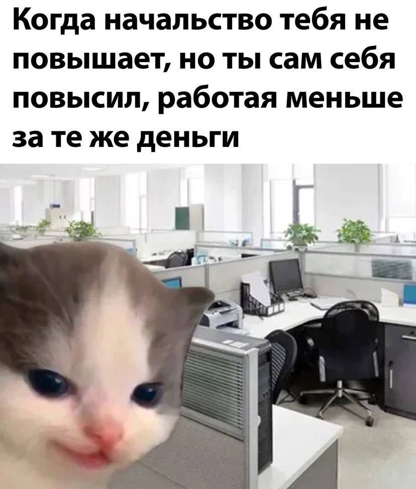 Когда начальство тебя не повышает, но ты сам себя повысил, работая меньше зате же деньги