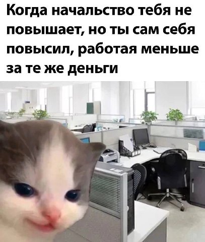 Когда начальство тебя не повышает, но ты сам себя повысил, работая меньше зате же деньги