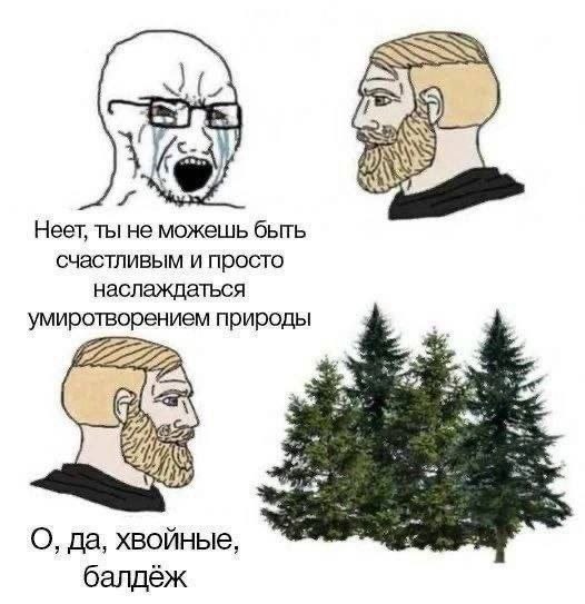 Heer, ты не можешь быть счастливым и просто наслаждаться умиротворением природы О, да, хвойные, балдёж