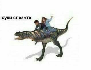 суки слезьте