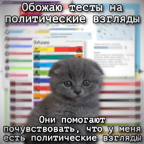 в. политические Они помогают почувствовать, что есть политические