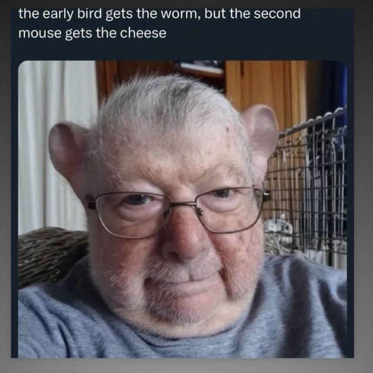 the early bird gets the worm, but the second mouse gets the cheese