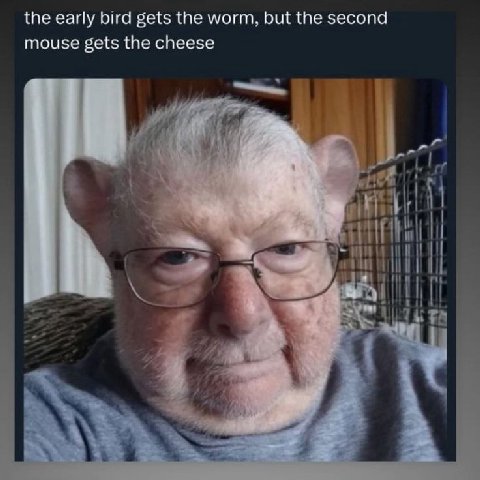 the early bird gets the worm, but the second mouse gets the cheese