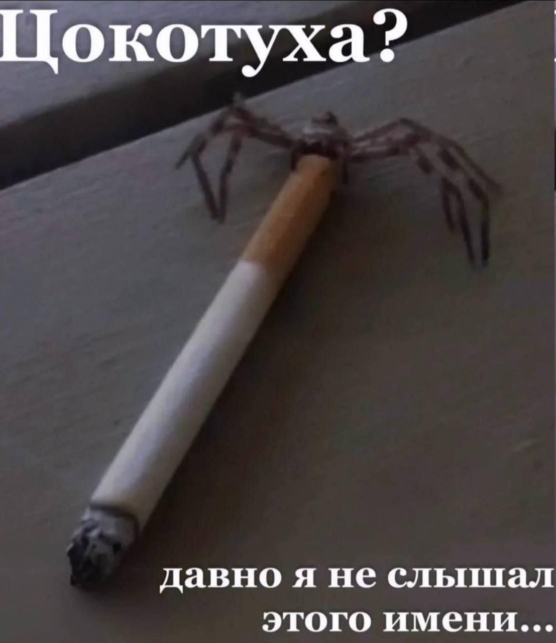 Цокотуха? давно я не слышал этого имени...