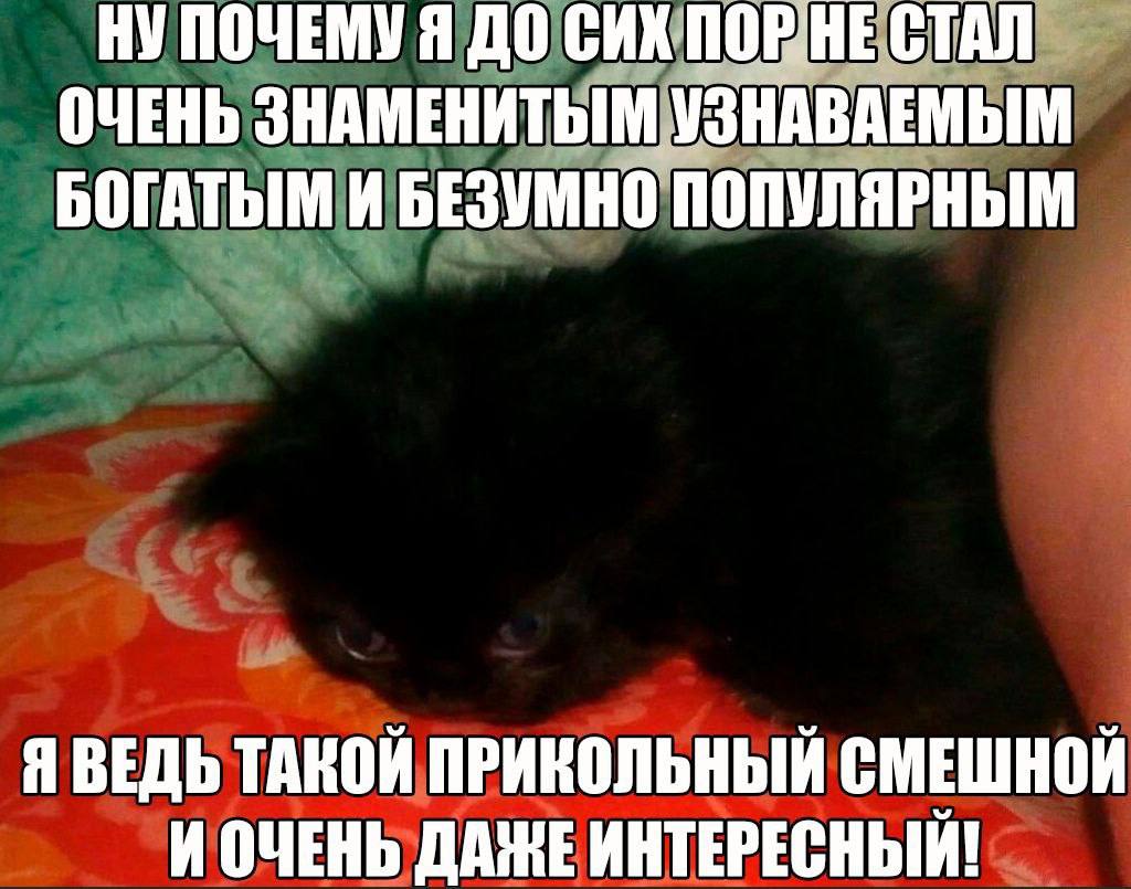 УПОЧЕМУ Я ДО СИХ ПОРНЕ СТАЛ ОЧЕНЬ ЗНАМЕНИТЫМ УЗНАВАЕМЫМ БОГАТЫМ И БЕЗУМНО ПОПУЛЯРНЫМ Я ВЕДЬ ТАКОЙ ПРИКОЛЬНЫЙ СМЕШНОЙ И ОЧЕНЬ ДАЖЕ ИНТЕРЕСНЫЙ!