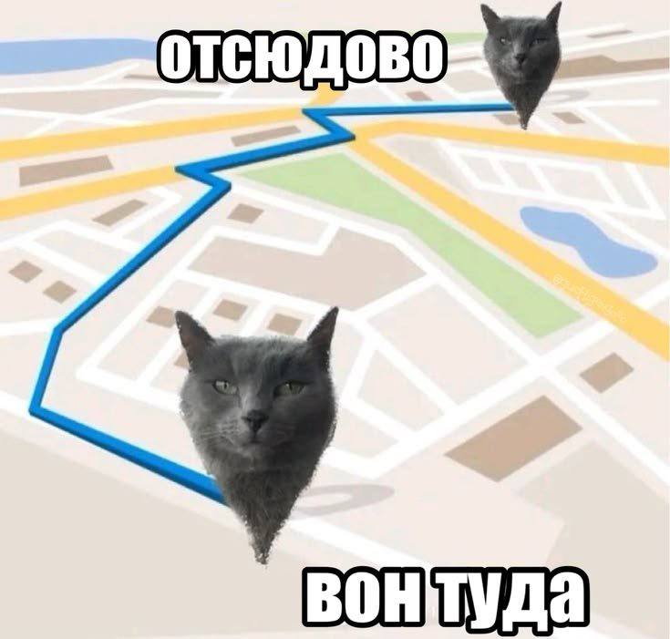 вонтуда