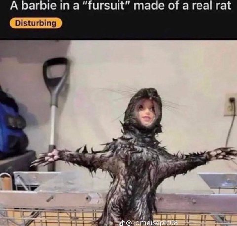 A barbie “fursuit” made of a real rat 1