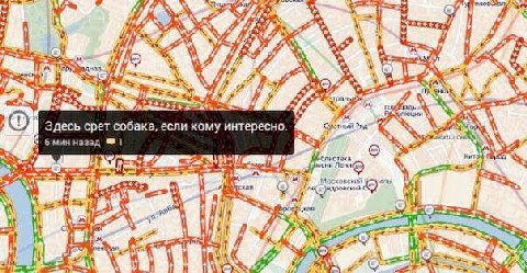 4 Здесь срет собака, если кому интересно. б мин назад 1 7 5 334 17