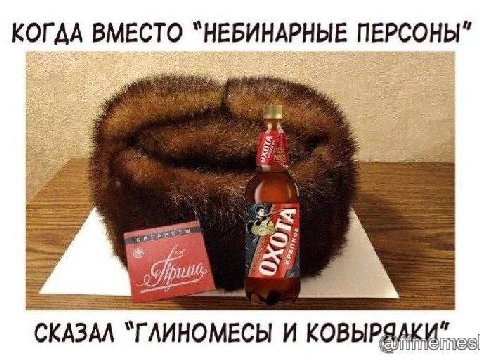 КОГДА ВМЕСТО “НЕБИНАРНЫЕ ПЕРСОНЫ" 24% СКАЗАЛ ЛИНОМЕСЫ И КОВЫРЯ