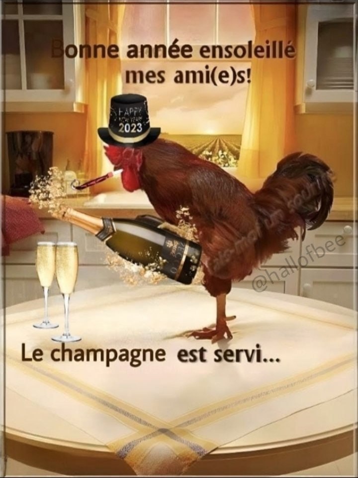 pagne est