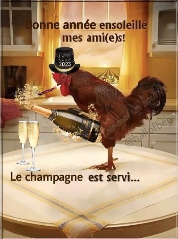 pagne est
