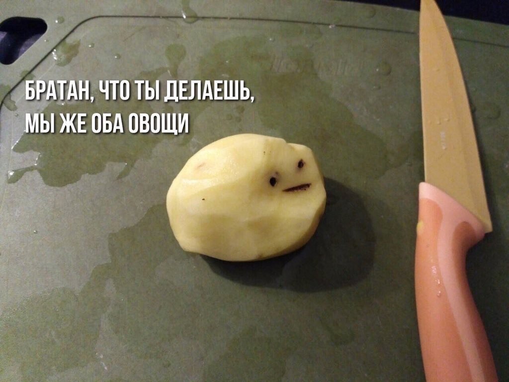 БРАТАН, ЧТО ТЫ ДЕЛАЕШЬ, МЫ ObA ОВОЩИ