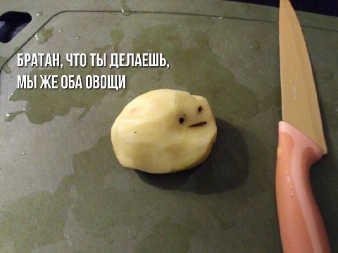 БРАТАН, ЧТО ТЫ ДЕЛАЕШЬ, МЫ ObA ОВОЩИ