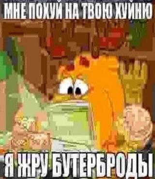 МНЕПОХУИ НА ТВОЮ КУИНЮ 6