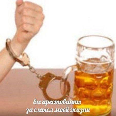 вы за смысл моей жизни
