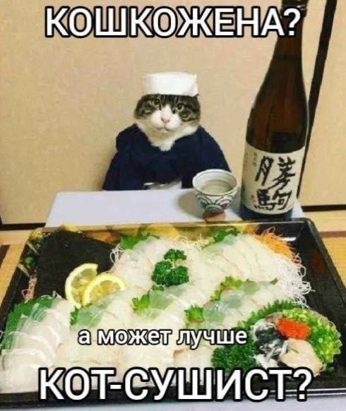 ШКОЖЕНА? С УШИСТ?