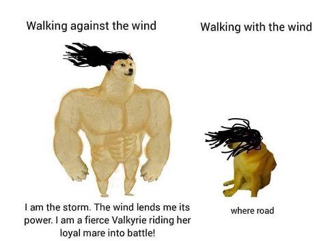 Walking against the wind Walking with the wind the storm. The wind lends me its where road power. a fierce Valkyrie riding her loyal mare into battle!