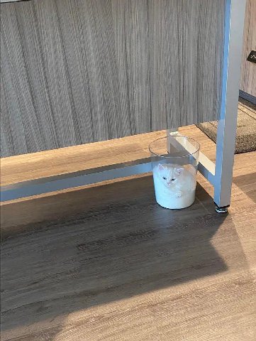 🥛