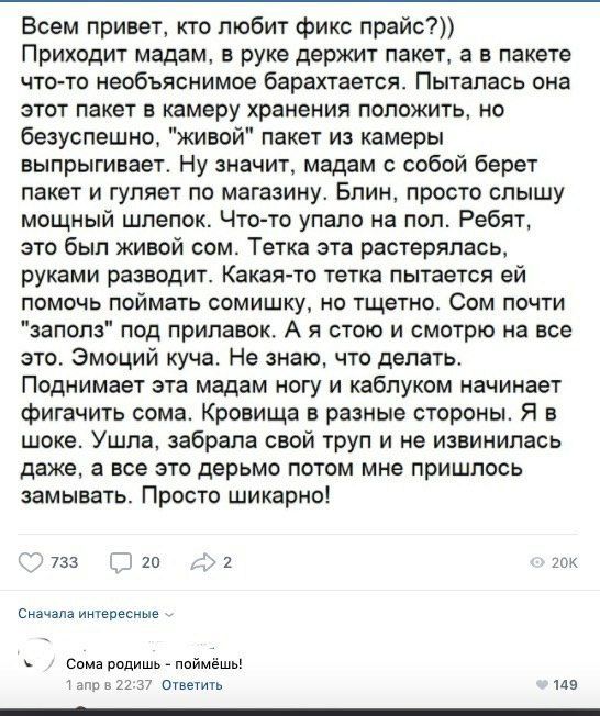Всем привет, кто любит фикс прайс?)) Приходит мадам, в руке держит пакет, а в пакете что-то необъяснимое барахтается. Пыталась она этот пакет в камеру хранения положить, но безуспешно, "живой" пакет и