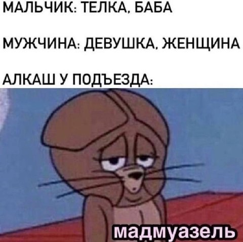 МАЛЬЧИК: ТЕЛКА, БАБА МУЖЧИНА: ДЕВУШКА, ЖЕНЩИНА АЛКАШ У ПОДЪЕЗДА: мадмуазель